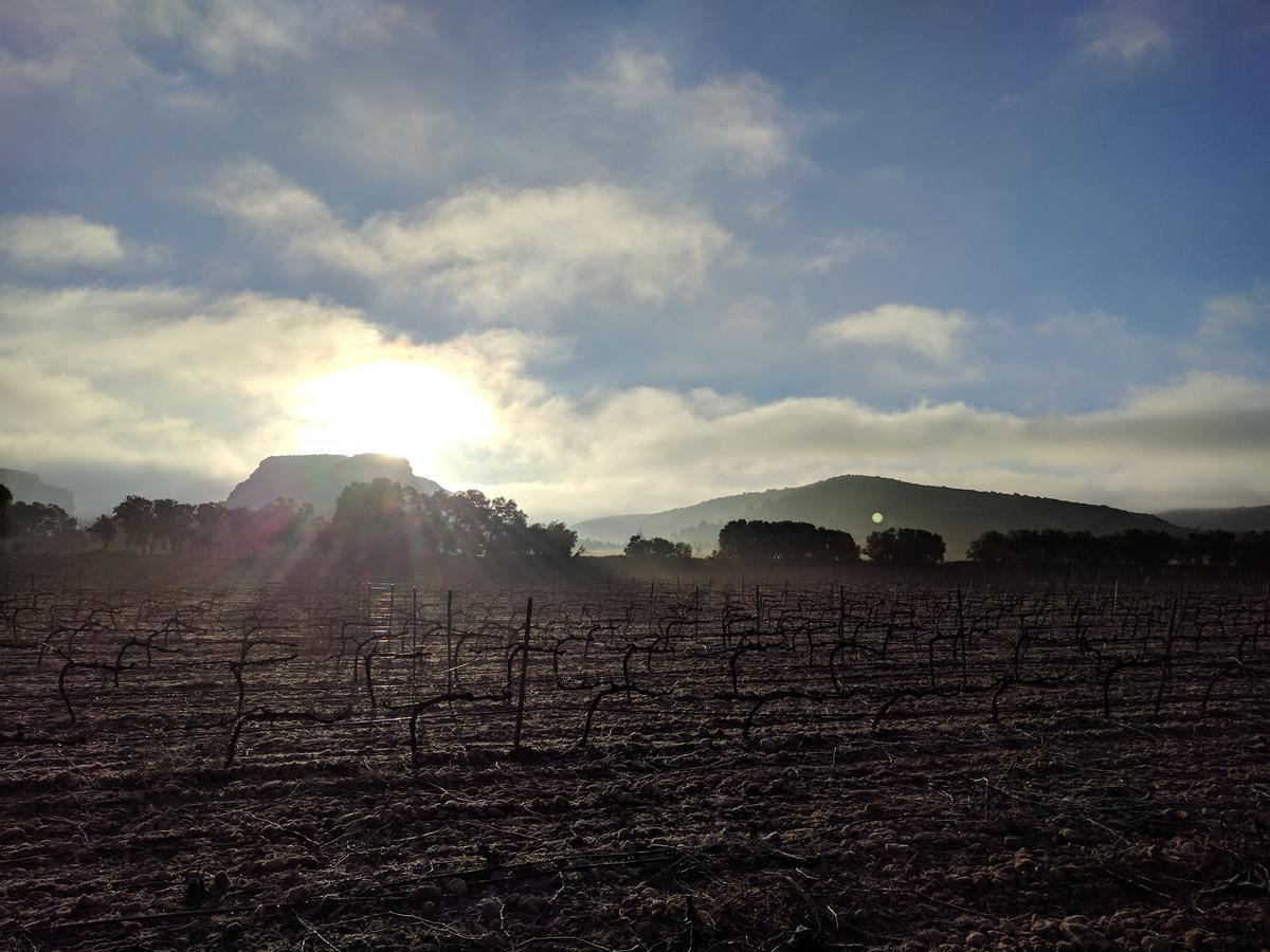 Finca El Romeral Alpera Eksteriør billede
