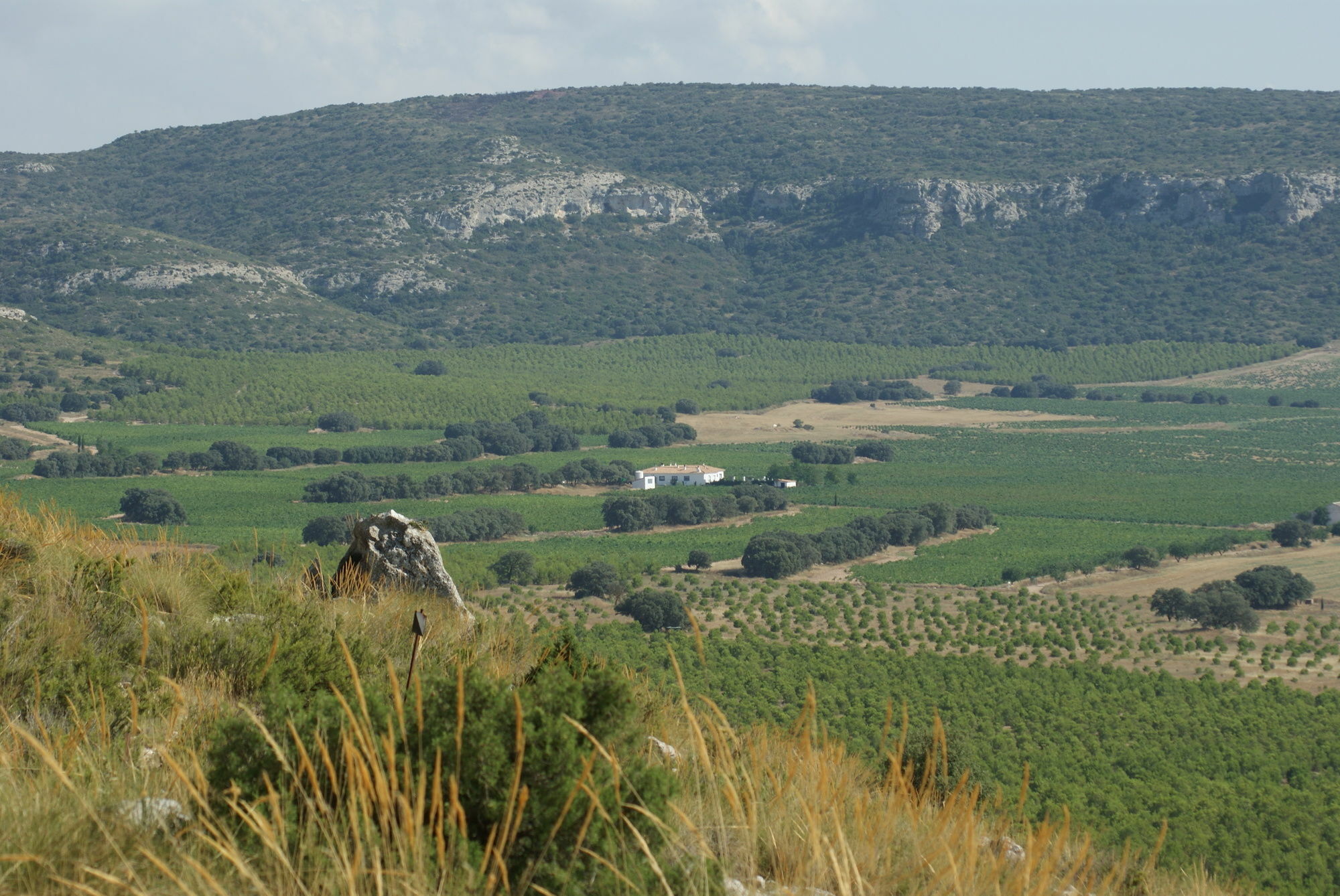 Finca El Romeral Alpera Eksteriør billede