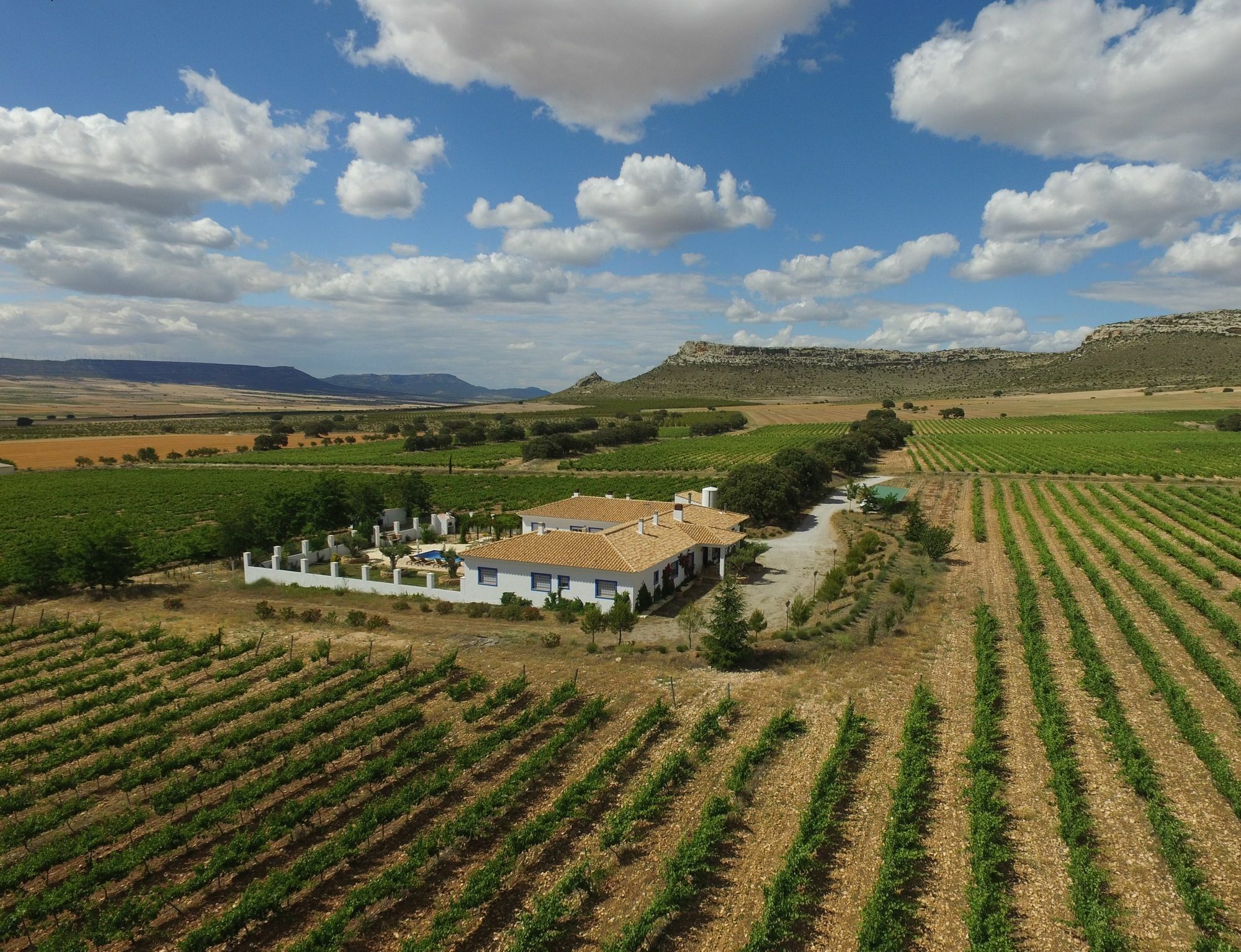 Finca El Romeral Alpera Eksteriør billede