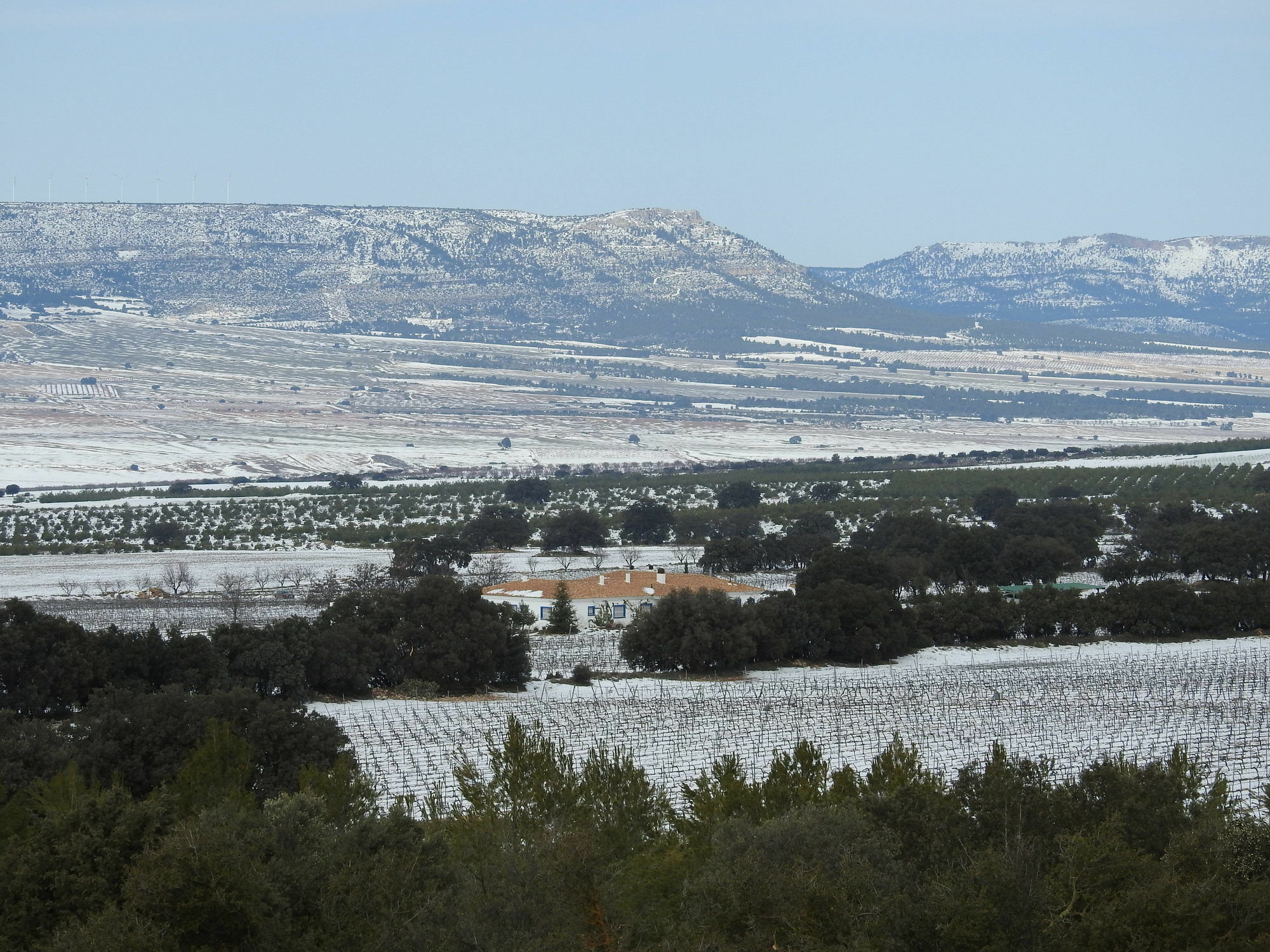 Finca El Romeral Alpera Eksteriør billede